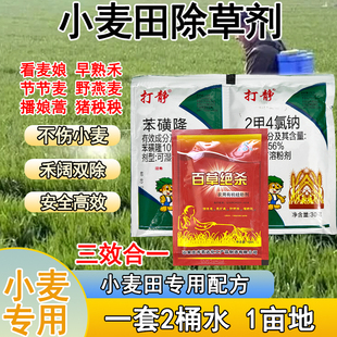 小麦田除草剂小麦苗后除草剂小麦田杂草克星杂草连根死正品除草剂
