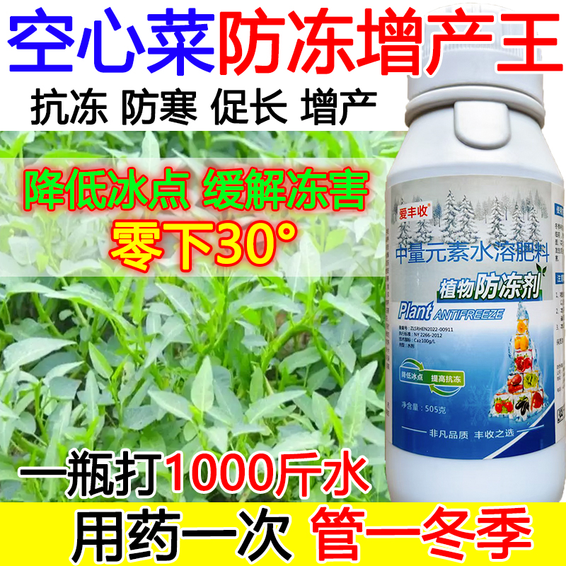 空心菜防冻液空心菜防冻抗寒叶面肥抗寒流增产肥料蔬菜果树防冻液