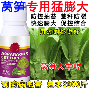 莴笋膨大素莴笋三控膨大剂叶面肥急速膨大抗病抗逆上控下促增产肥