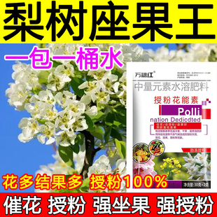 梨树授粉座果精梨树授粉药沾花素保花保果强制座果肥料防落果正品