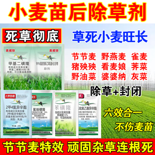 小麦田除草剂小麦苗后除草剂小麦田杂草克星杂草连根死正品除草剂