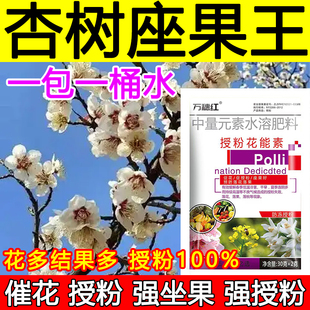 杏树授粉座果精杏树授粉药沾花素保花保果强制座果肥料防落果正品