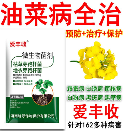 油菜杀菌剂油菜病菌清霜霉微生物菌剂霜霉病白锈病菌核白粉黑斑病