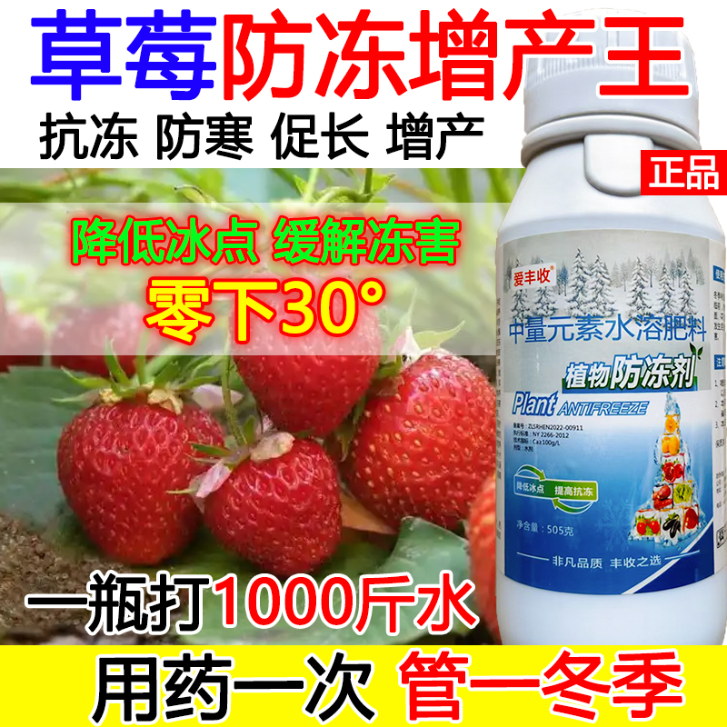 草莓防冻液草莓防冻耐寒叶面肥抗寒流增产肥料蔬菜果树防冻液正品