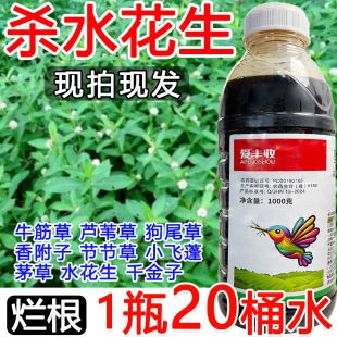 水花生除草剂水花生烂根死草除草剂斩草除根牛筋草稗草杂草一扫光