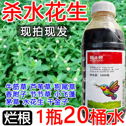 水花生除草剂水花生烂根死草除草剂斩草除根牛筋草稗草杂草一扫光