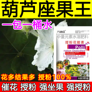 葫芦授粉座果精葫芦授粉药沾花素保花保果强制座果肥料防落果正品