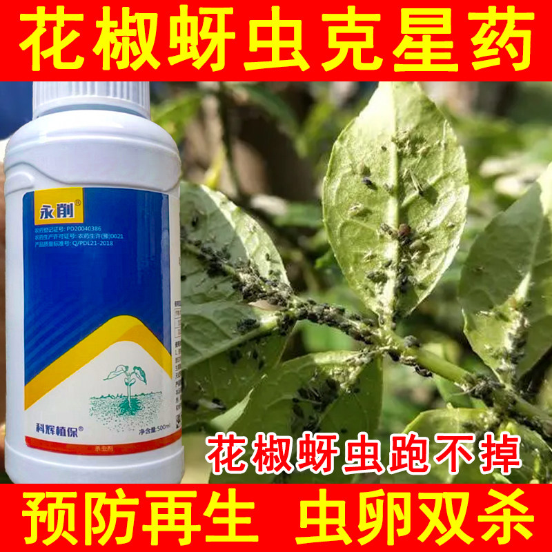 花椒蚜虫专用药蚜虫一滴净蚜虫杀虫剂专用药蚜虫蚜虫药牙虫专用药