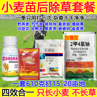 小麦田除草剂小麦苗后除草剂专用药套餐节节麦杂草克星苯磺隆雀麦