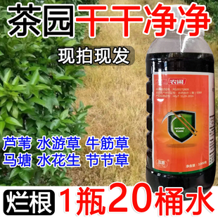 茶园除草剂茶树园除草剂牛筋草小飞蓬除草剂死草死根不伤茶树正品