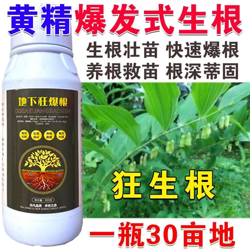 黄精专用生根粉黄精生根剂叶面肥生根菌肥快速生根正品生根肥料