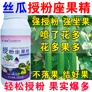 进口丝瓜授粉座果精授粉药丝瓜授粉药催花授粉素保花保果素免沾花