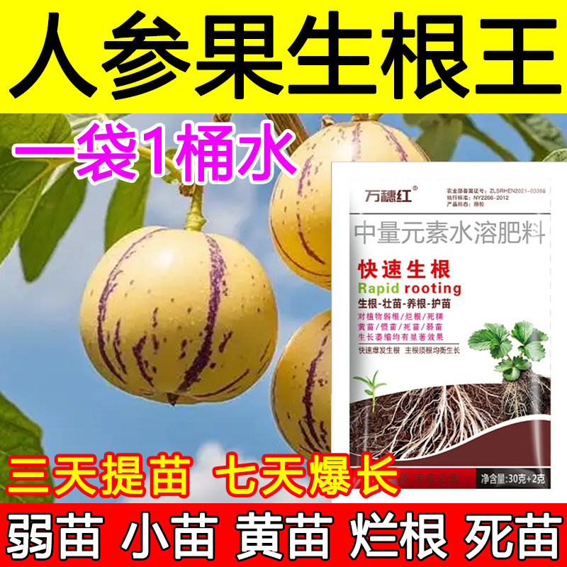 人参果生根剂生根液人参果生根壮苗肥料微生物生根肥料弱苗小苗,农用物资,叶面肥,淘宝优惠券,粉丝福利购,淘宝优惠卷