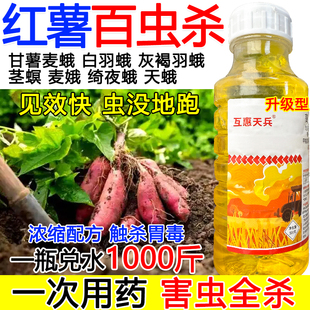 红薯杀虫剂红薯专用杀虫药强效农药高氯甲维盐害虫全杀绮夜蛾天蛾