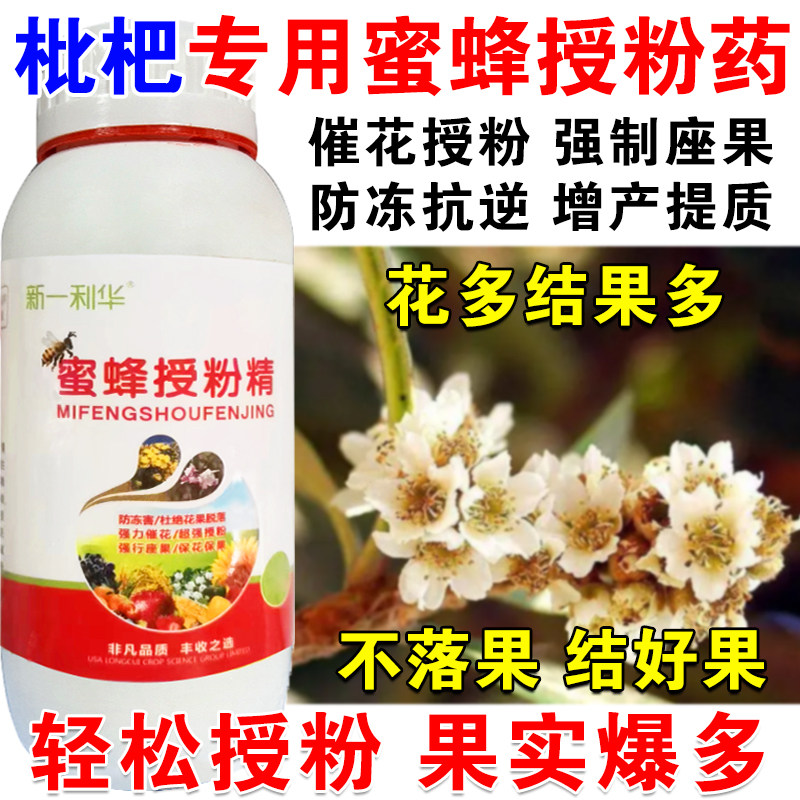进口枇杷授粉药授粉精枇杷专用授粉坐果精催花授粉保花保果免沾花