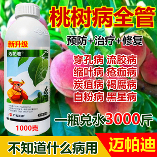 桃树流胶病专用药桃树杀菌剂穿孔病农用杀菌缩叶病白粉病正品