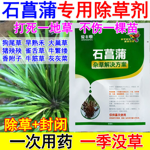 石菖蒲苗后除草剂石菖蒲专用除草剂兰科除草剂禾阔双除不伤苗除草