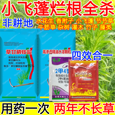 小飞蓬除草剂小飞蓬烂根除草95%草甘膦铵盐杂草一扫光正品除草剂