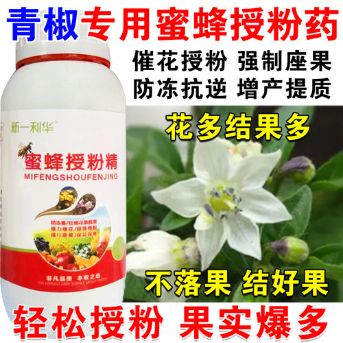 进口青椒授粉药授粉精青椒专用授粉坐果精催花授粉保花保果免沾花