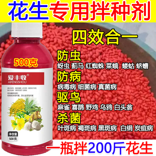 花生拌种剂包衣剂花生专用拌种药微生物菌剂抗病菌花生悬浮种衣剂