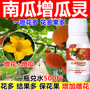 南瓜增瓜灵增瓜剂南瓜授粉保果药叶面肥保花保果开花多花多果多