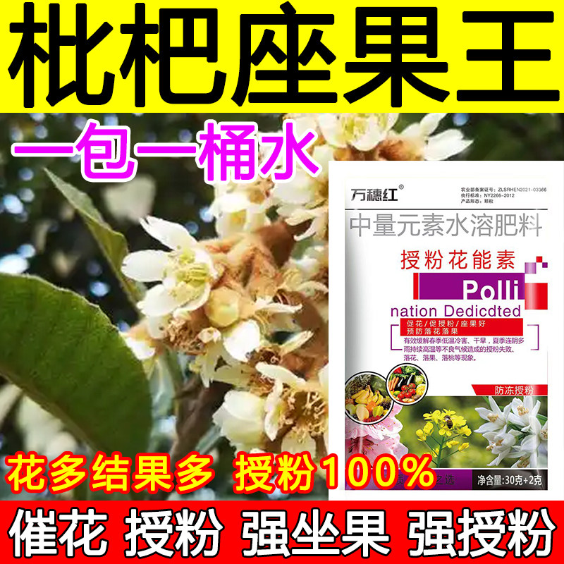 枇杷授粉座果精枇杷授粉药沾花素保花保果强制座果肥料防落果正品