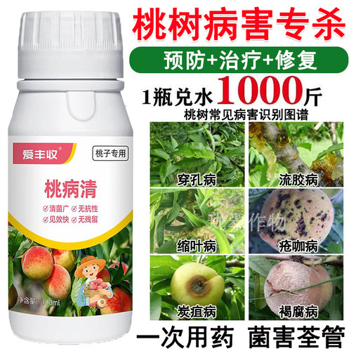 桃树专用杀菌剂桃树病菌清病全治穿孔病流胶病缩叶病疮痂病杀菌剂
