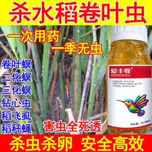 水稻杀虫剂水稻卷叶虫稻飞虱杀虫剂甲维盐杀虫剂虫卵蓟马卷叶螟