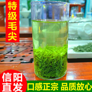 毛尖茶叶信阳毛尖特级2025新茶绿茶250g礼盒装茶叶官方旗舰店