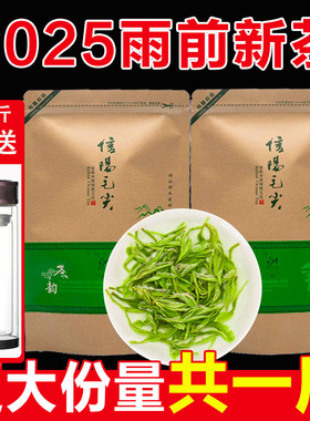 2025新茶毛尖绿茶散装茶叶正宗雨前春茶500g袋装浓香型信阳毛尖