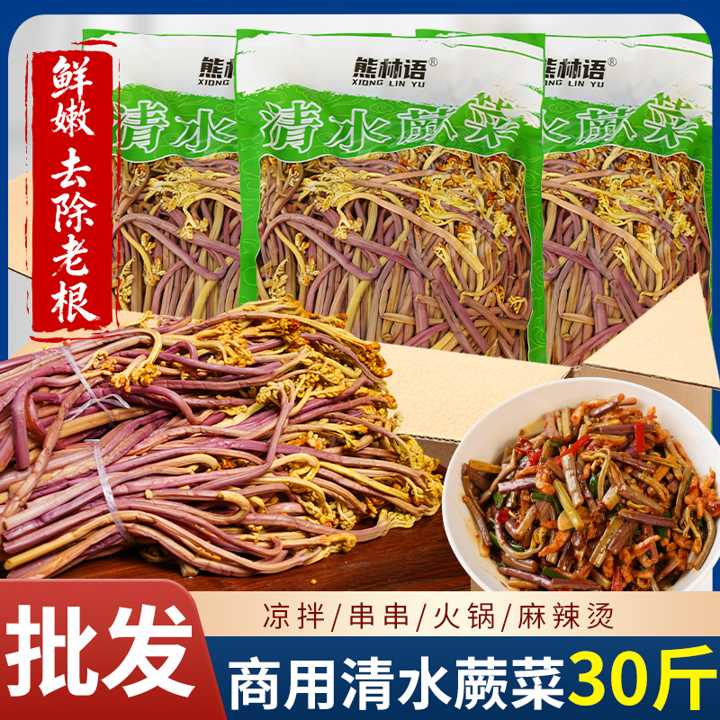 清水蕨菜龙爪菜凉拌菜食材30斤