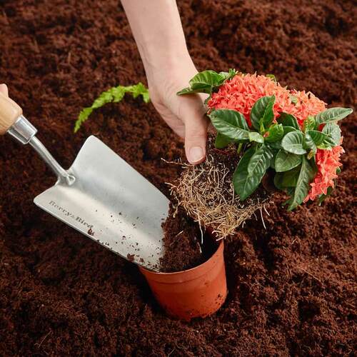 lp种花王大 Berry&qam;家Bird小铲子种花工爷具用小铁铲养花bb园