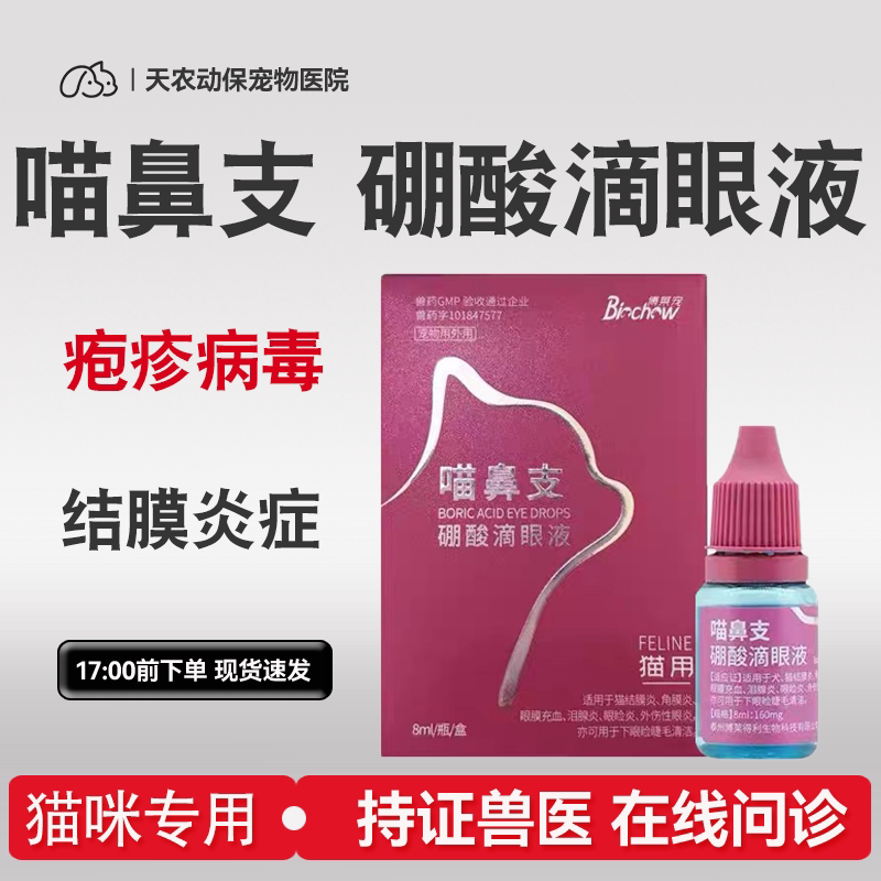 猫鼻支硼酸第一喷嚏流泪结膜炎症