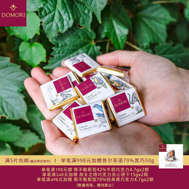 Domori 4.7g小片装那不勒斯黑巧克力喜糖果情人节礼物意大利进口