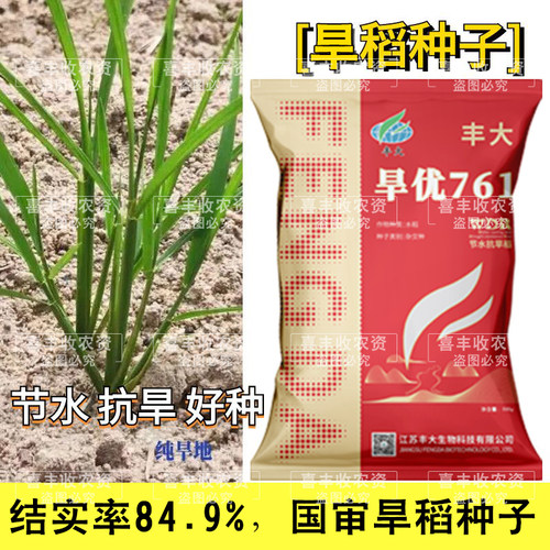 旱优761水稻种子节水抗旱抗倒