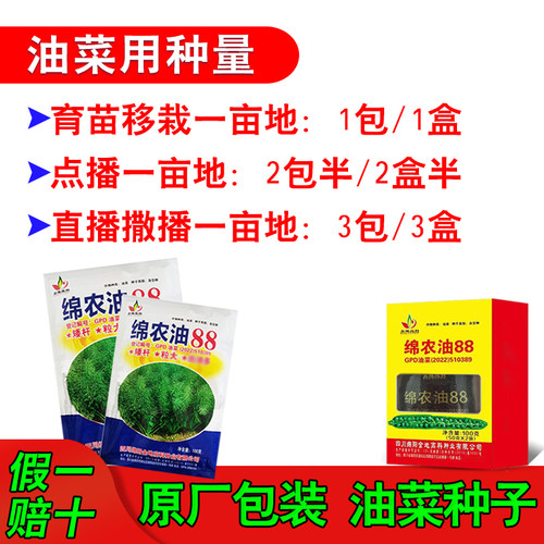 中晚熟油菜种子绵农油88