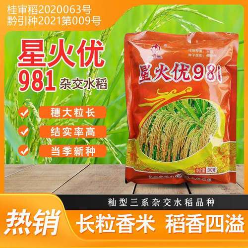 浓香型水稻种子好吃好种