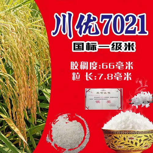 国标一级种子川优7021长粒型