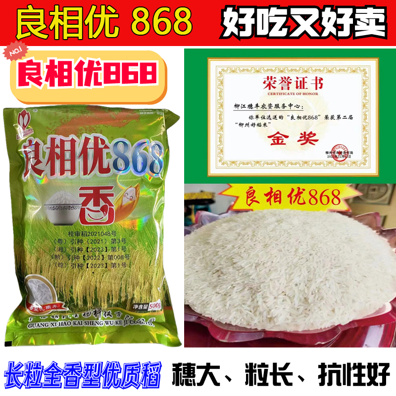 浓香型水稻种子良相优868长粒型国标三级香米口感软糯