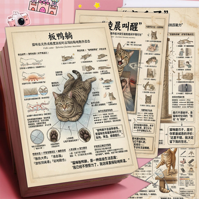 6张猫咪行为分析图鉴贴纸猫咪行为说明书猫咪迷惑行为装饰防水贴