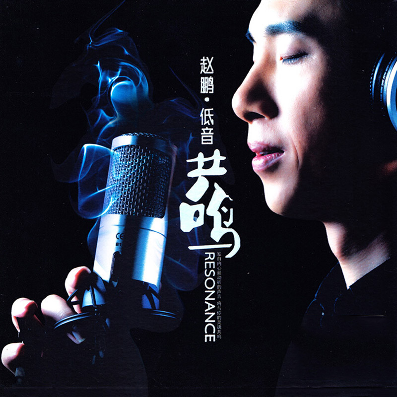 正版发烧碟赵鹏 珍藏版 车载cd低音共鸣cd DSD 1CD珍藏版