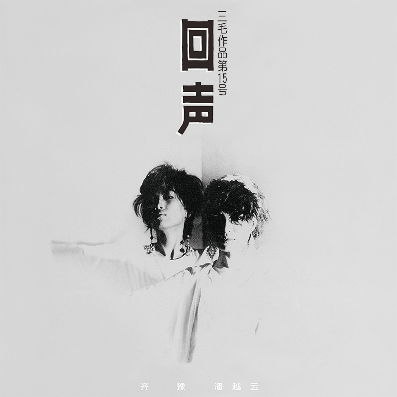 正版预售 齐豫·潘越云《回声》LP黑胶唱片 首批编号版 经典五大