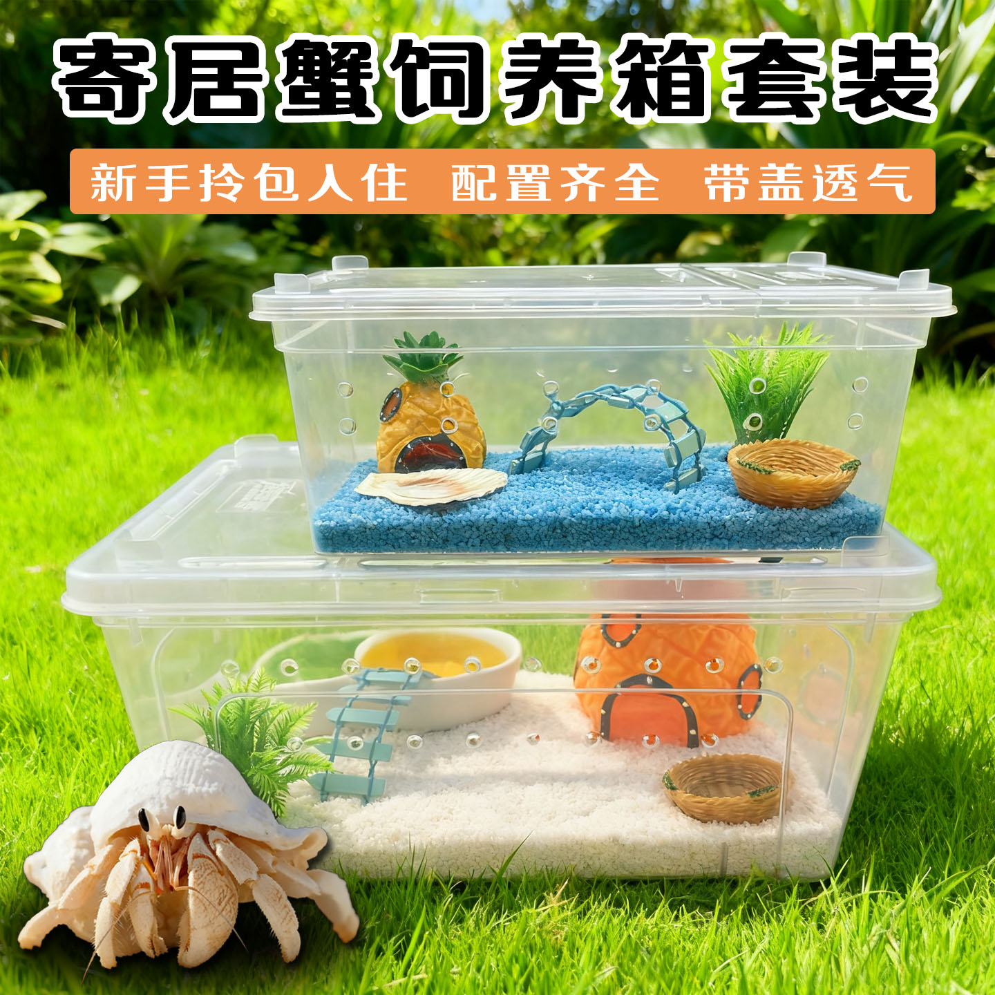 寄居蟹饲养箱套装螃蟹沙蟹相手蟹