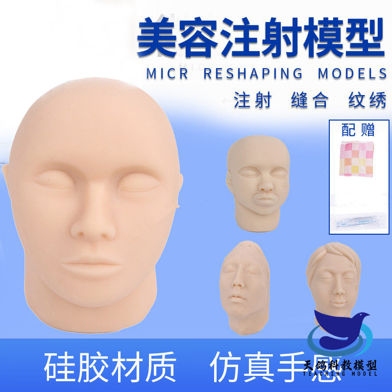 软体硅胶头模 微整形线雕脸部神经血管 仿真面部美容注射缝合模型