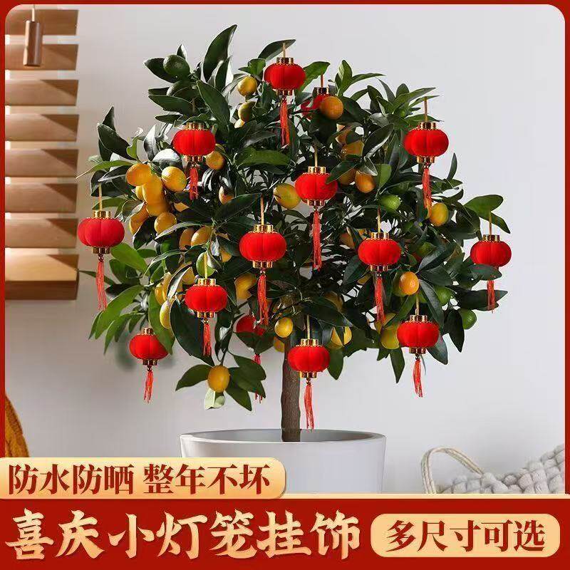 2026新款植绒小灯笼串挂饰红灯笼