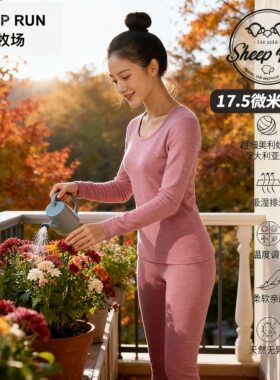SHEEP RUN大牧场 美丽奴羊毛女230-260保暖内衣套装贴身层可机洗