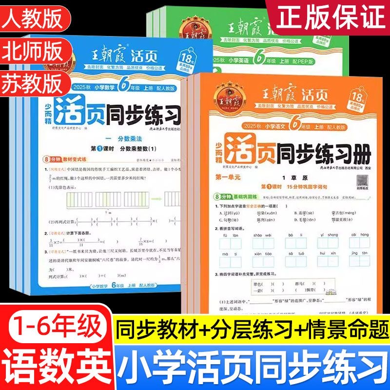 2025版王朝霞活页同步练习册