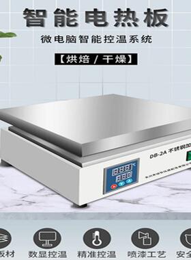 DB-2A3A4A6A不锈钢电热板数显不锈钢电热板厂家直销