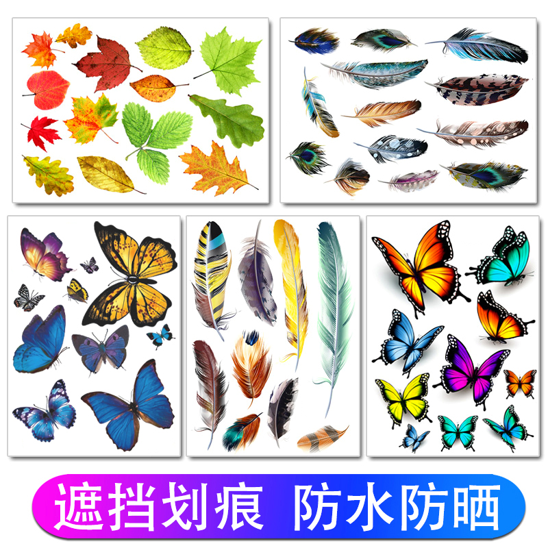 汽车羽毛车贴划痕遮挡遮盖