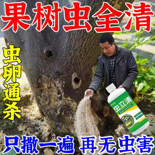 果树杀虫专用药天牛克星树洞虫杀虫颗粒天牛幼虫钻心虫白蚁药液